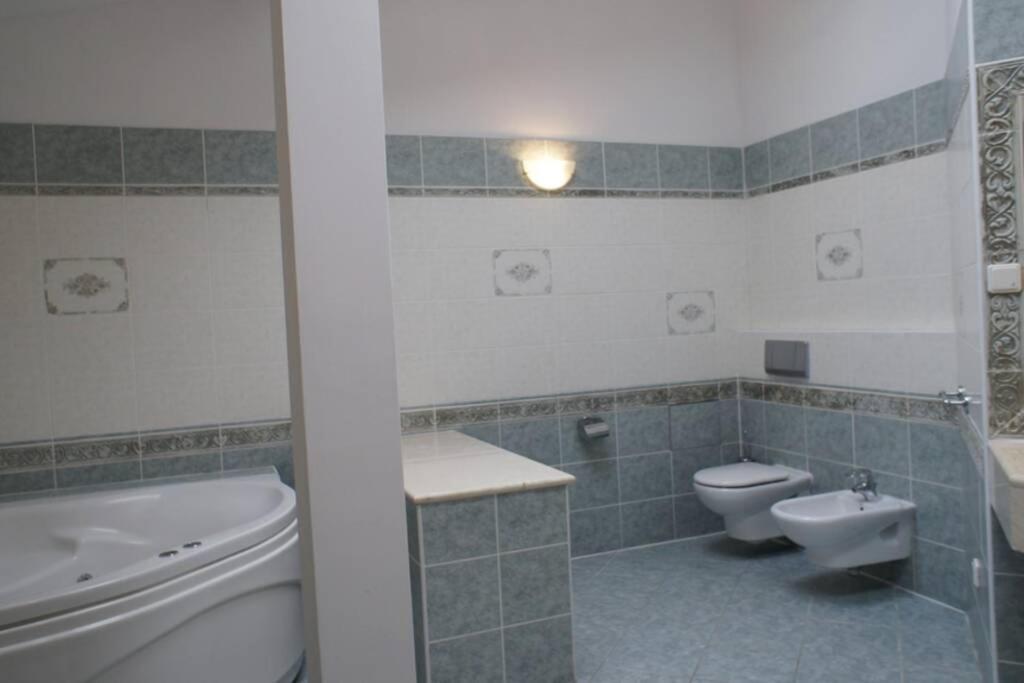 Florianska Penthouse Delux Apartment Krakow Bagian luar foto